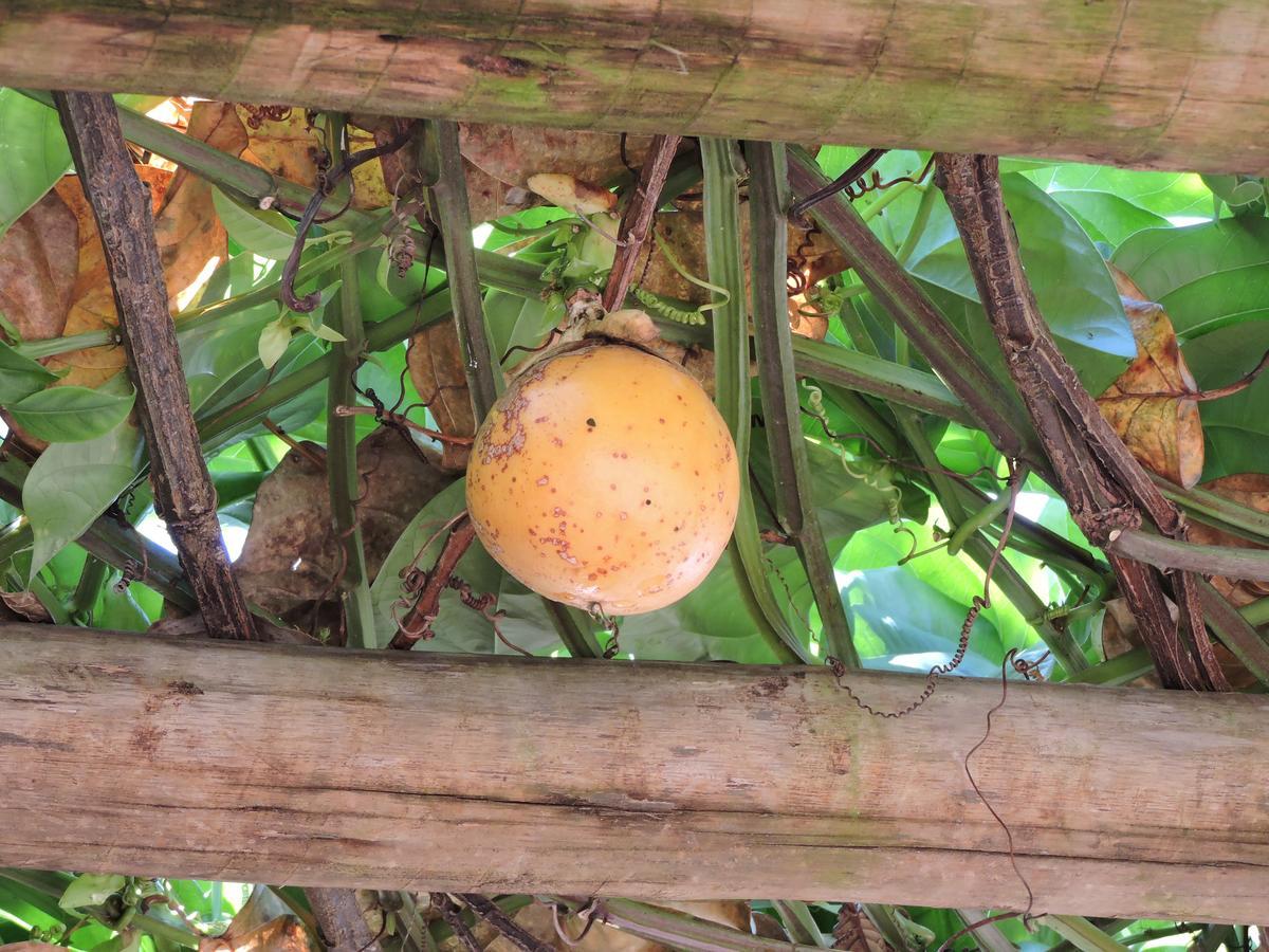 Pousada Casa Da Serra São Tomé das Letras エクステリア 写真